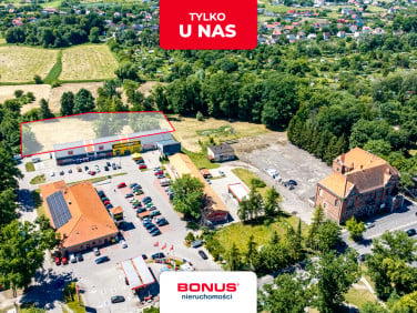 Działka budowlana Chojna