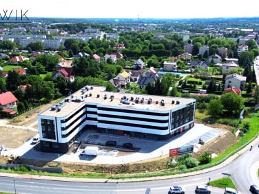 Lokal Brzesko