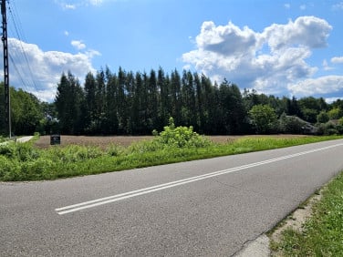 Działka budowlana Kupienin