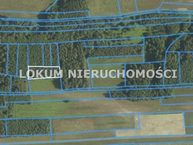 Działka rolna Luszowice