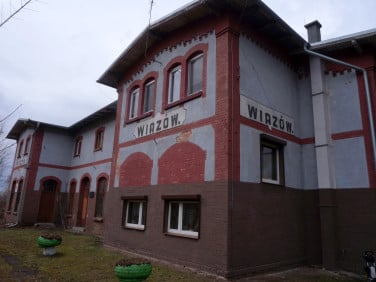 Lokal Wiązów