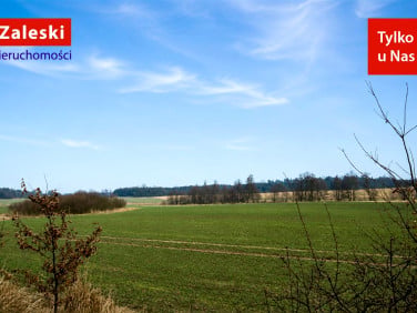 Działka rolna Henrykowo