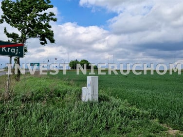 Pusta działka Strzelce Krajeńskie