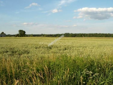 Działka budowlana Poznań