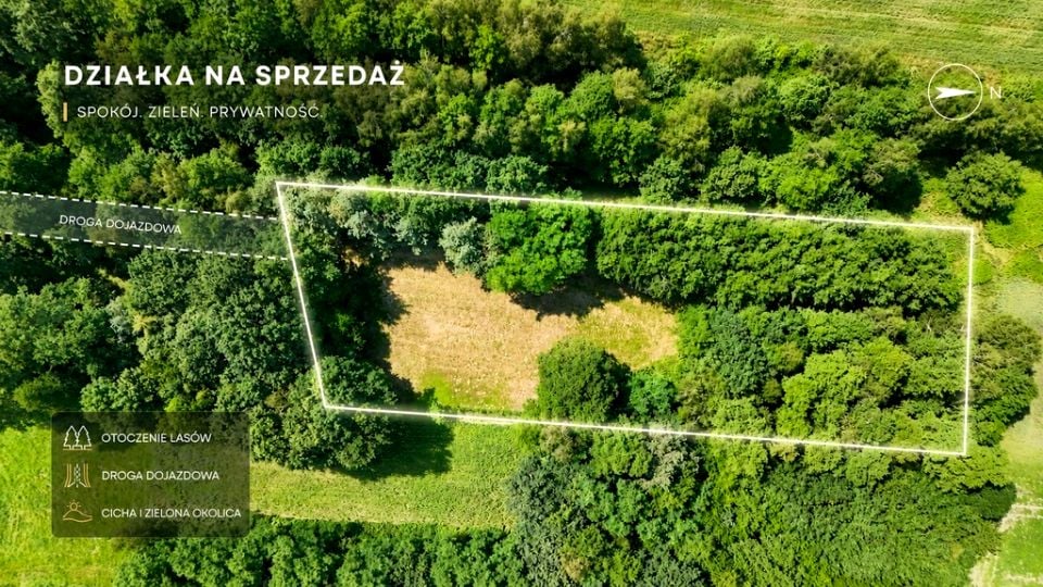 Zdjęcie 2