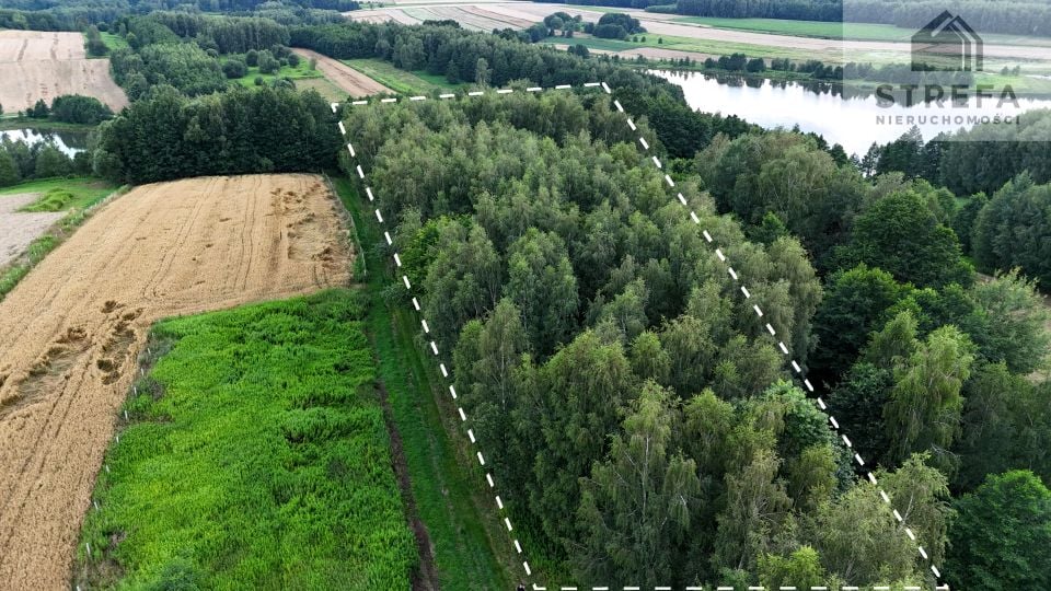 Działka siedliskowa Skrzyszów