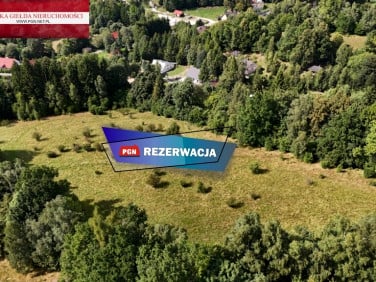 Działka Orłowiec
