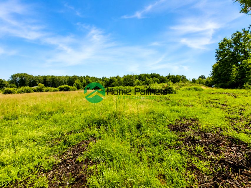 Zdjęcie 3