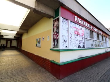 Lokal Opole