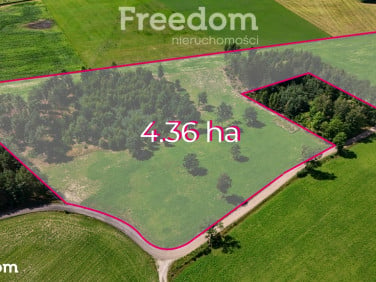 Działka siedliskowa Konrady