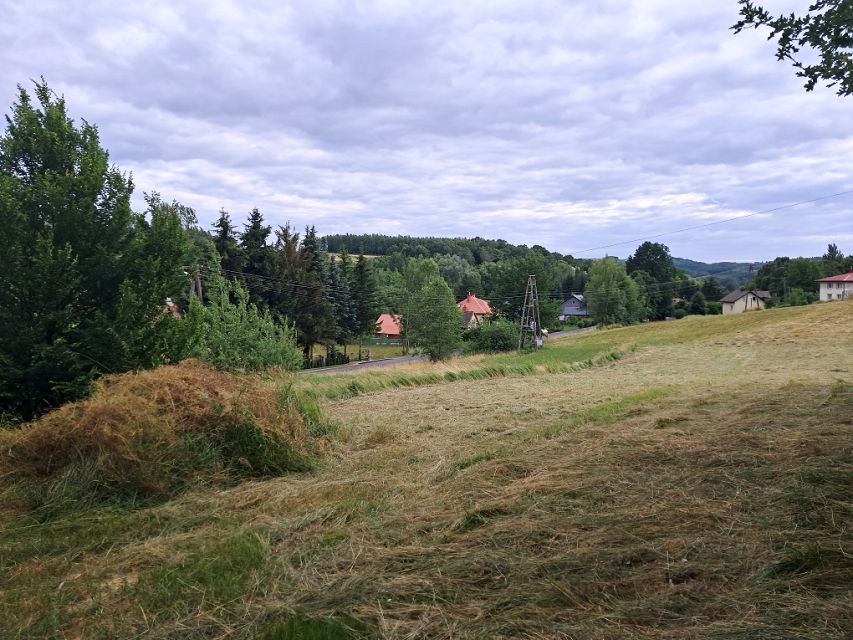 Zdjęcie 3