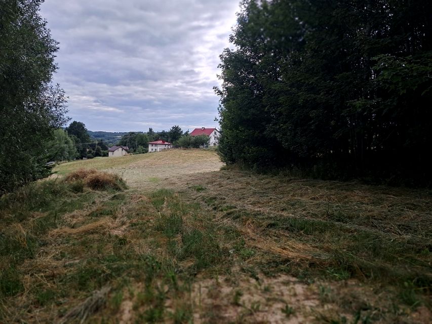 Zdjęcie 2
