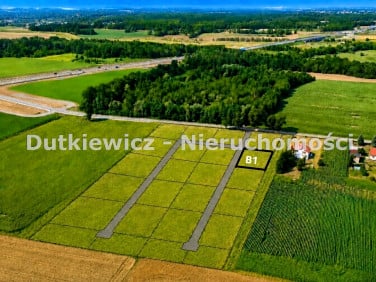 Działka budowlana Jedlina
