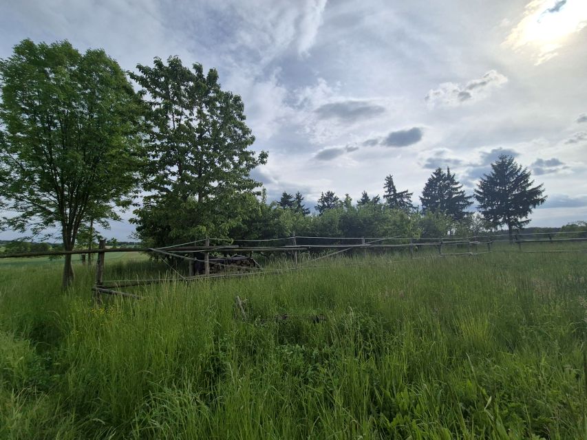 Zdjęcie 3