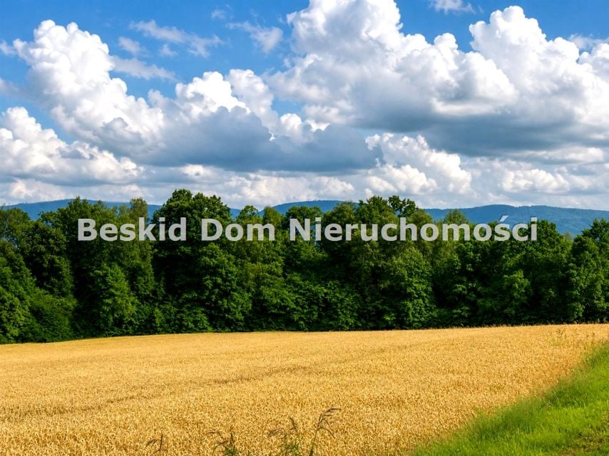 Zdjęcie 3
