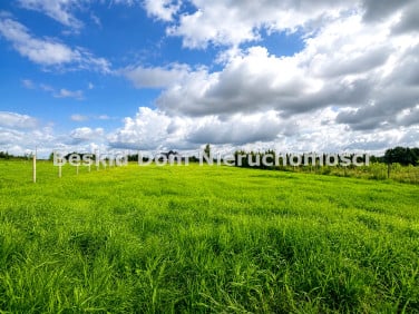 Działka budowlana Pisarzowice