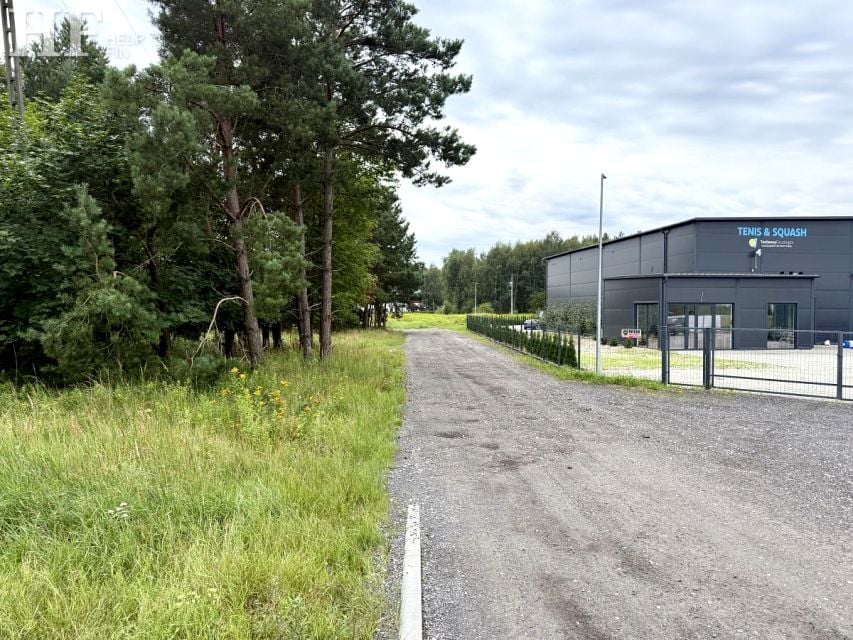 Zalesiona działka Grudziądz