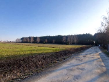 Działka budowlana Miłoszyce