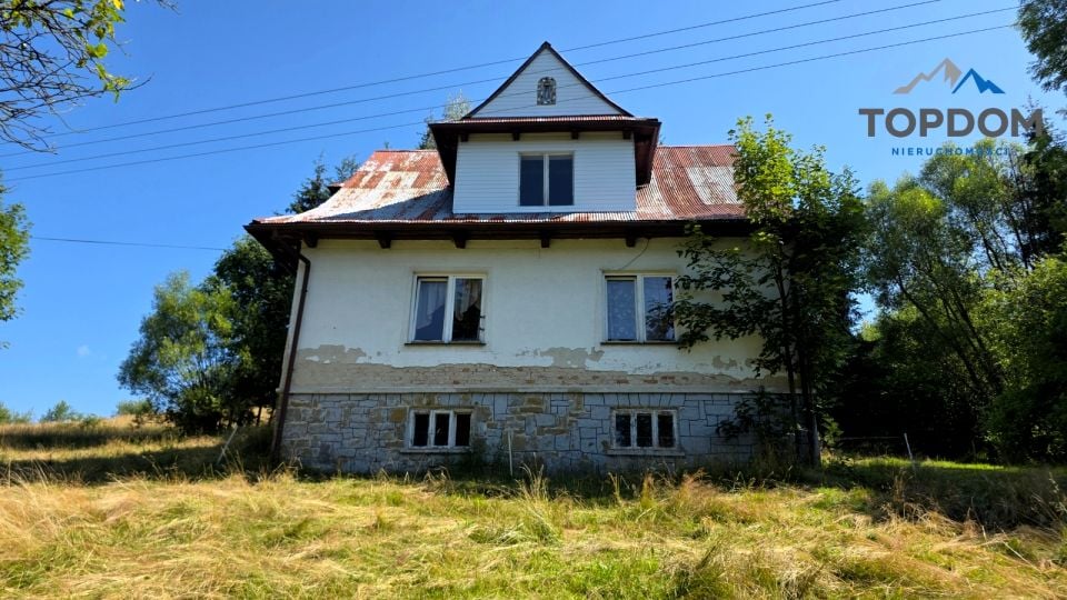 Zdjęcie 3