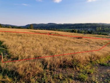Działka Głuszyca