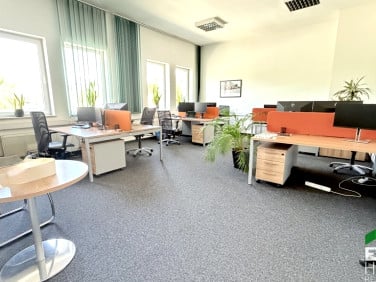 Lokal Poznań