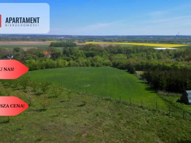 Działka budowlana Opalenie