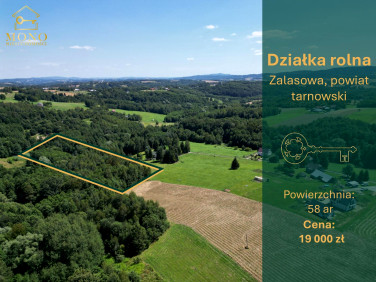 Działka rolna Zalasowa