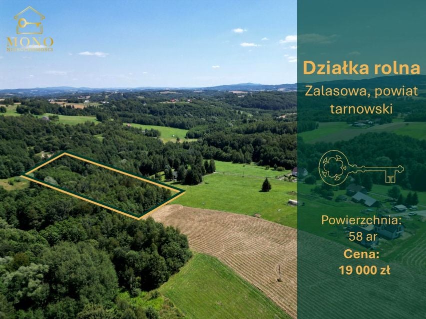 Działka rolna Zalasowa