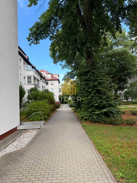 Zdjęcie 2