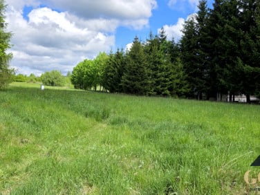 Działka Głuszyca Górna