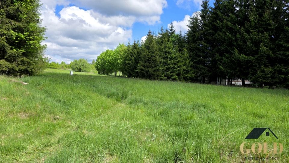 Działka Głuszyca Górna