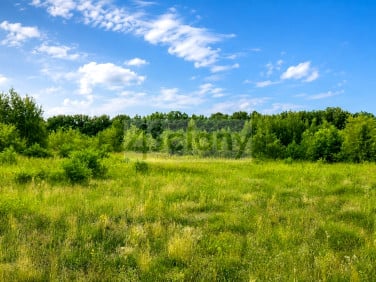 Działka Runów