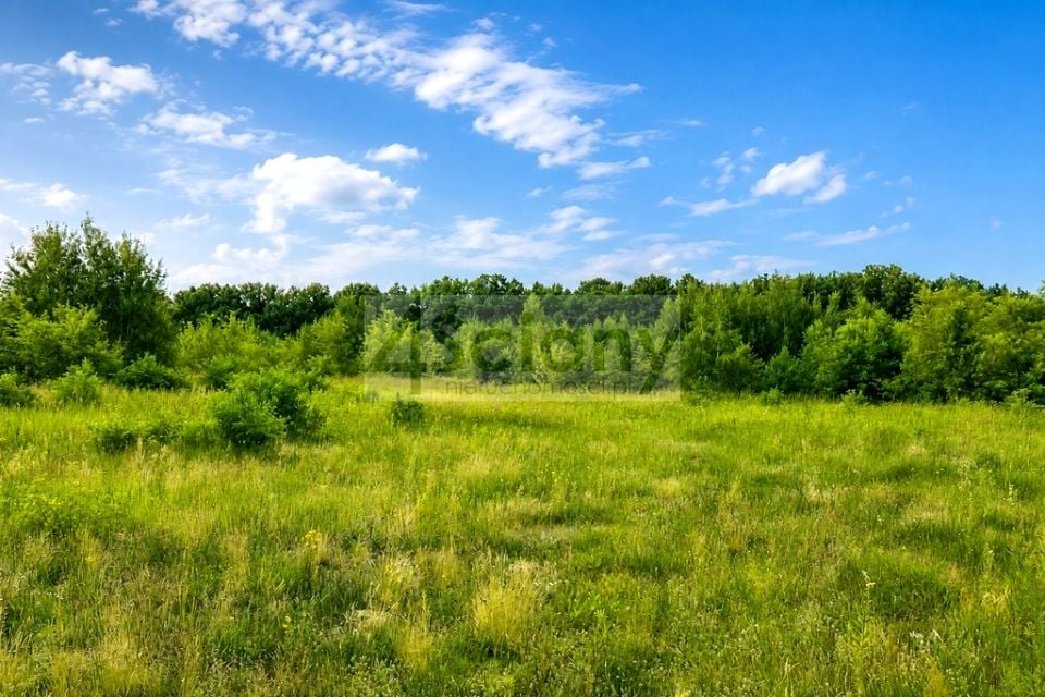 Działka Runów