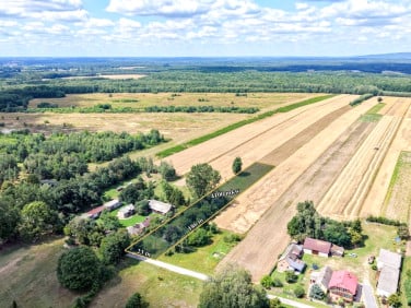 Działka siedliskowa Wola Kotkowska