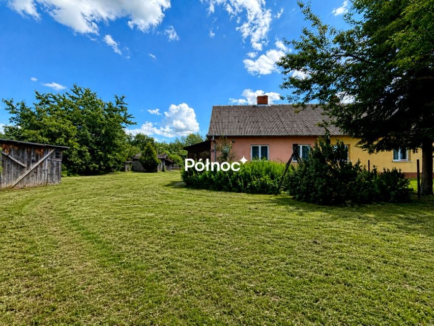 Zdjęcie 3