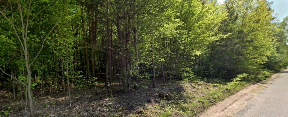 Działka leśna Kamianka