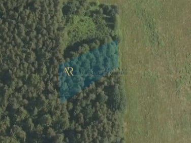 Działka leśna Wola Radłowska