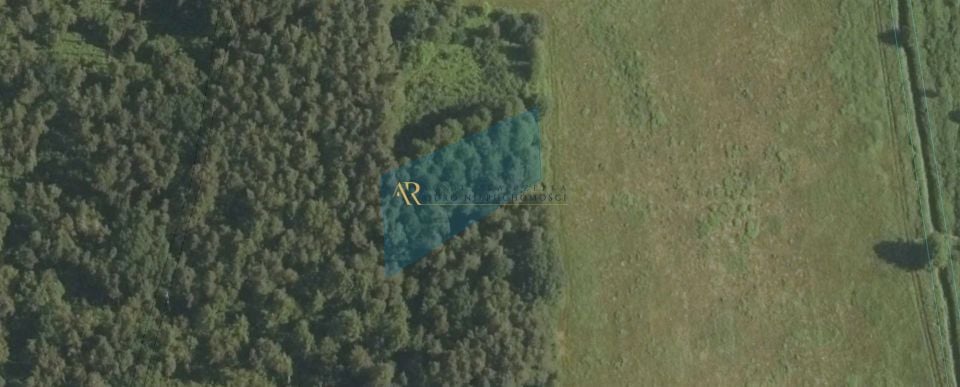 Działka leśna Wola Radłowska