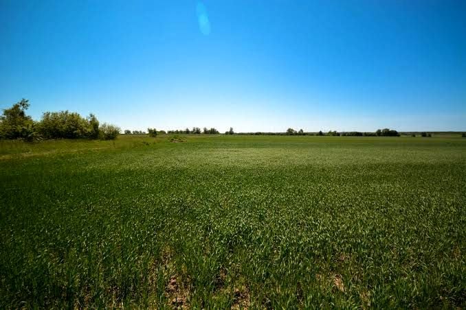 Działka budowlana Karczów