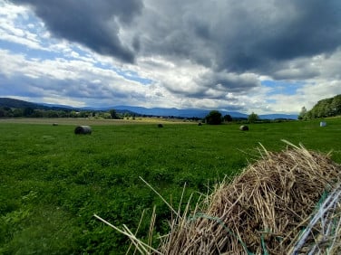 Działka Łomnica