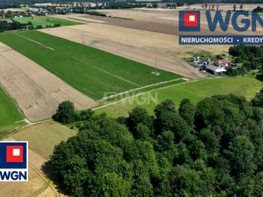 Działka siedliskowa Krępa Kaszubska sprzedam