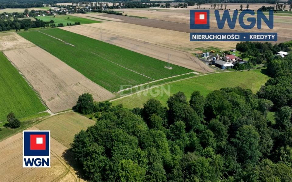 Działka siedliskowa Krępa Kaszubska sprzedam