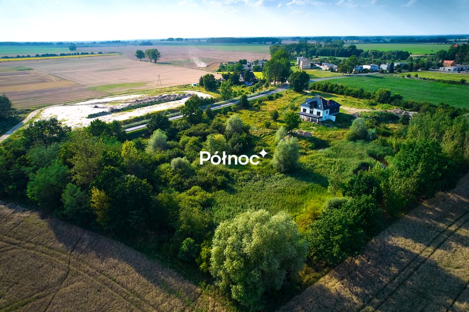 Zdjęcie 3