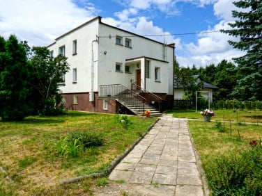 Lokal Żabia Wola