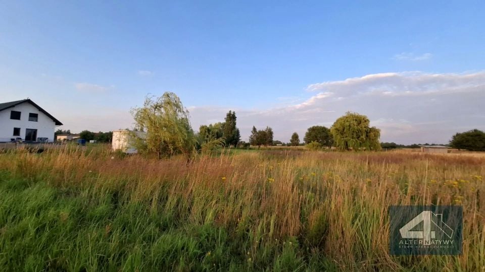 Zdjęcie 3