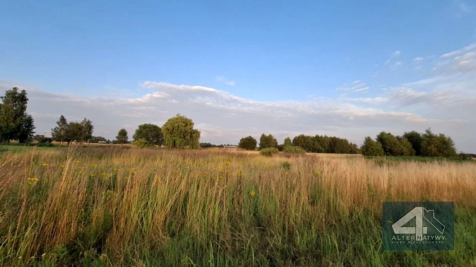 Zdjęcie 2
