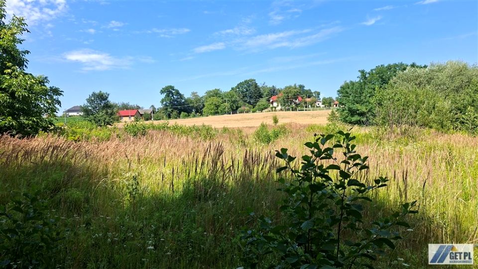 Zdjęcie 2