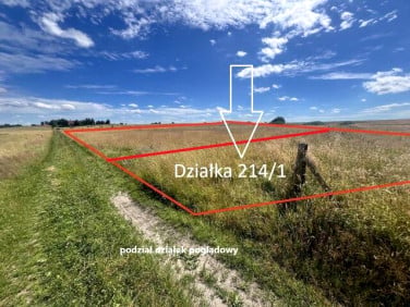 Działka Zieleniewo