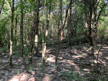 Działka budowlano-rolna Krzeszowice