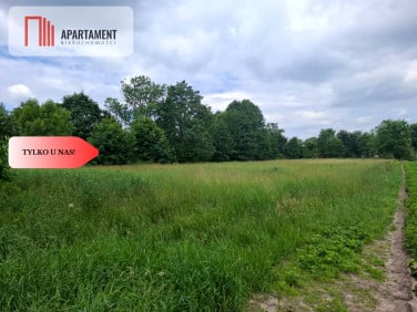Działka Stara Huta